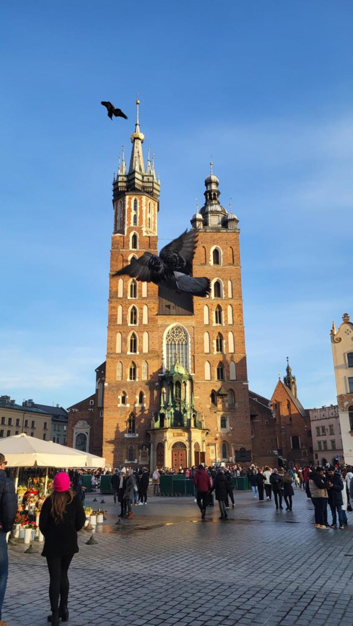 Ap4You Tauron Cracow Cracovia Esterno foto